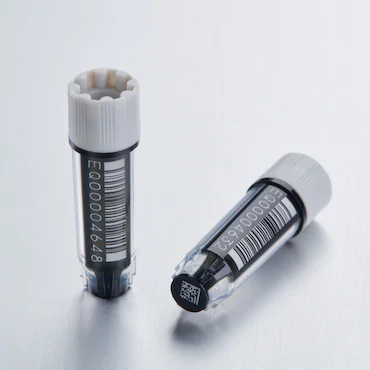 艾本德Eppendorf CryoStorage Vial, 0.5 mL, 不含 DNase、RNase、人類 DNA 和內(nèi)毒素；外螺紋，預(yù)先加蓋灰色管蓋，帶 2D SafeCode (DataMa
